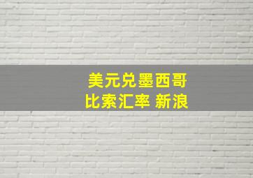 美元兑墨西哥比索汇率 新浪